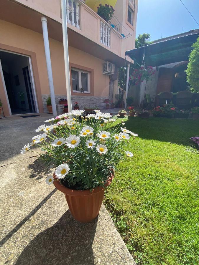 Apartment Dora Zadar Eksteriør billede