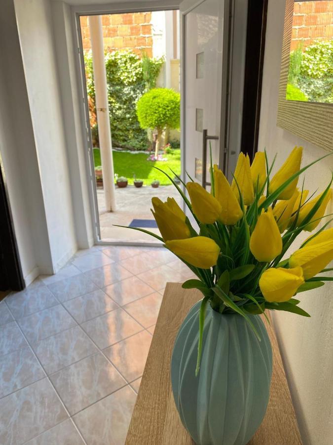 Apartment Dora Zadar Eksteriør billede