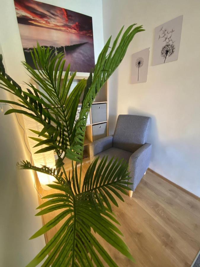 Apartment Dora Zadar Eksteriør billede