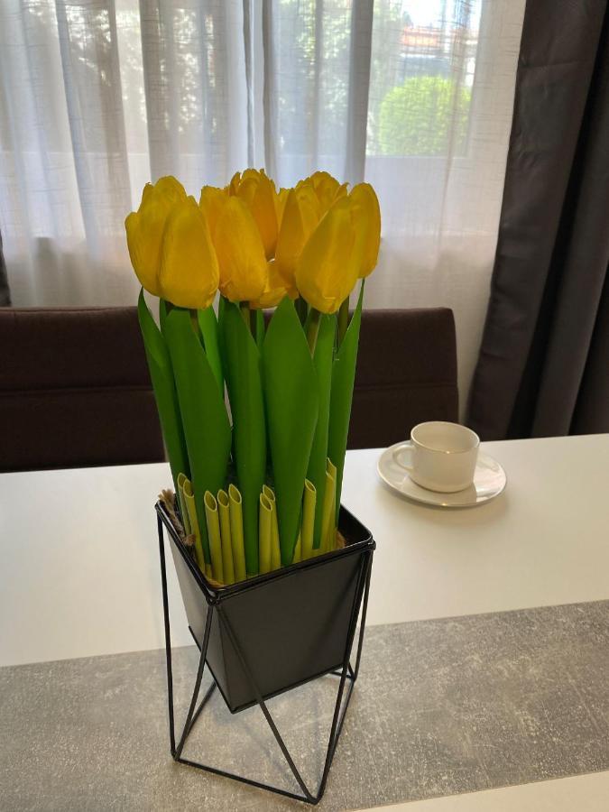 Apartment Dora Zadar Eksteriør billede